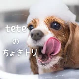 teteのちょきちょきトリミング