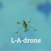 L-A-drone
