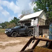 Belgian racing pigeons Thailand