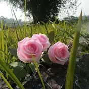 Linh Nhi Flower