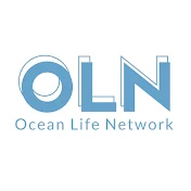 Ocean Life Network