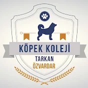 Köpek Koleji