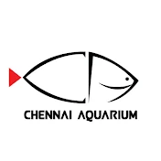 Chennai Aquarium pvt ltd