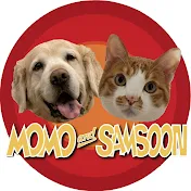 모모와삼순이 MOMO&SAMSOON