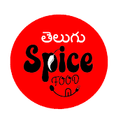 TELUGU SPICE FOOD