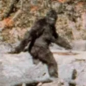 Squatch253