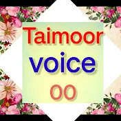Taimoor voice 00