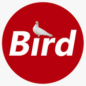 The Bird Media