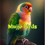 Mujjo birds