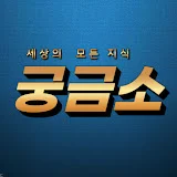 궁금소