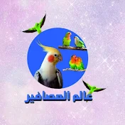 عالم العصافير