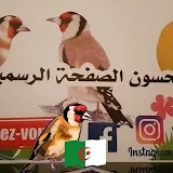 تربية الحسون الصفحة الرسمية الأخ جلال Tube