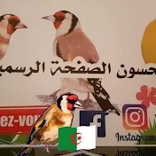 تربية الحسون الصفحة الرسمية الأخ جلال Tube