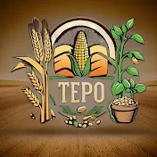 Tepo6800