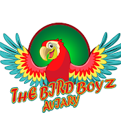 The Bird Boyz Aviary