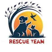 Rescue Team