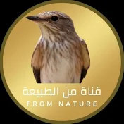 قناة من الطبيعة From Nature