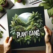 plant gang -  Belgium