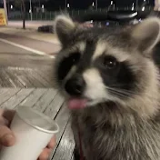 ☆ TrAsH  PaNdA ☆