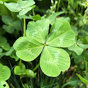 きりさん🍀