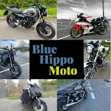 Blue Hippo Moto