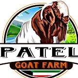 Patel Goat yard Official