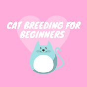 Cat Breeding for Beginners