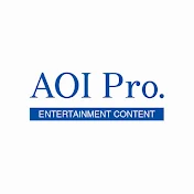 AOI Pro. ECP部