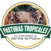 Pasturas Tropicales