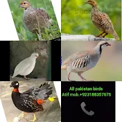 All pakistan birds