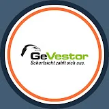 GeVestor Financial Publishing Group