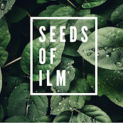 Seeds of ILM