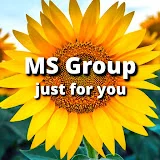 MS Group