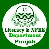 N Literacy teacher