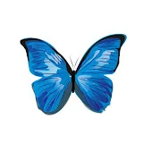 The Butterfly Effect Podcast