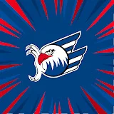 Adler Mannheim