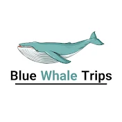 Blue Whale Trips