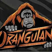Gaming Orangutan