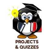 PROJECTS & QUIZZES