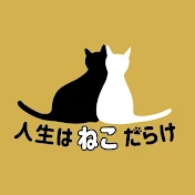 人生はねこだらけ【動物愛護団体キーテイル】