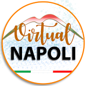 Virtual NAPOLI