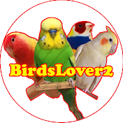 Birds Lover 2.0