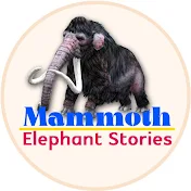 Mammoth Elephant Stories