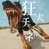 狂犬の正体