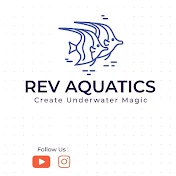 REV AQUATICS