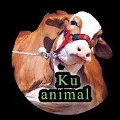 KU Cattle Market