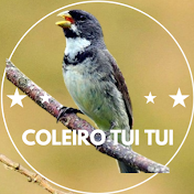 Coleiro Tui Tui