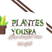 Plantes Yousra