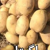 potatoiranbehzad