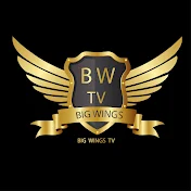 bigwings tv